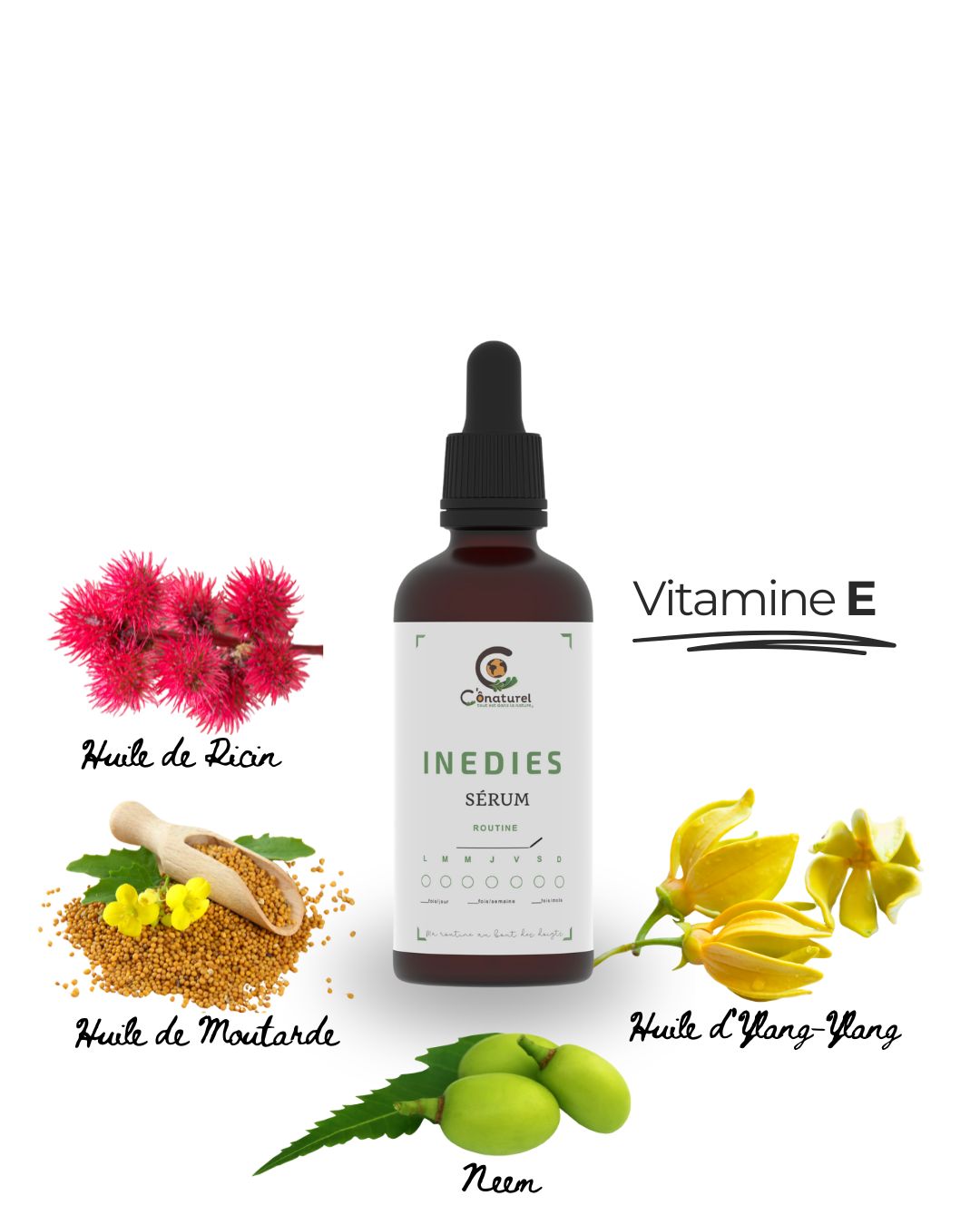 Inedies