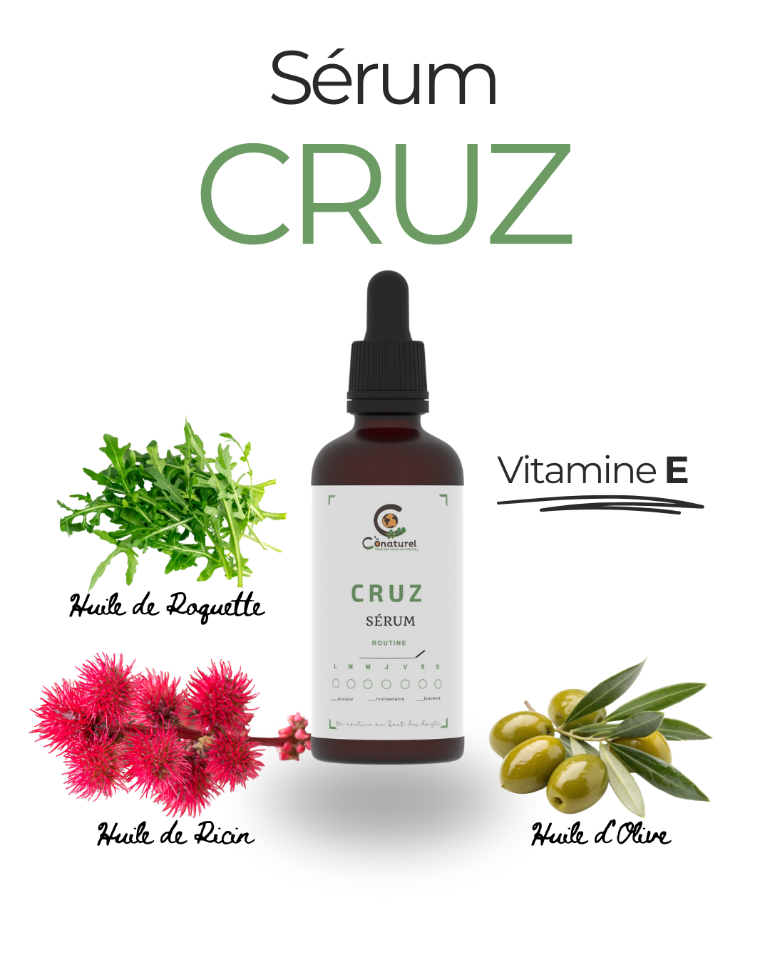 Cruz (Fortifiant)